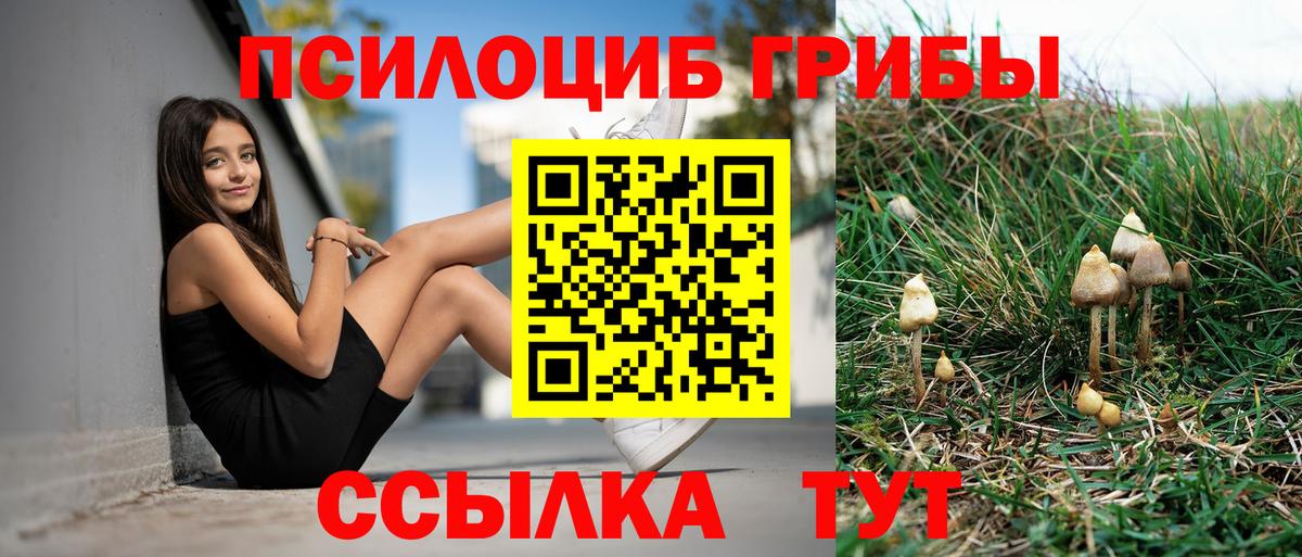Галлюциногенные грибы MAGIC MUSHROOMS  Галлюциногенные грибы Magic Shrooms  Вход с VPN  Карталы 