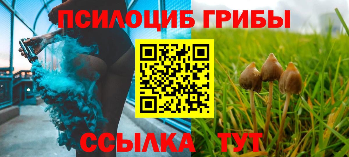 Псилоцибиновые грибы MAGIC MUSHROOMS Карталы